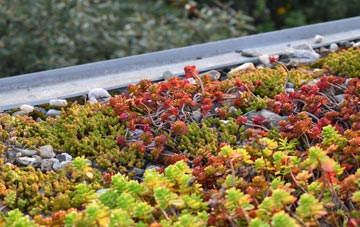 the cost of Radfordbridge green roof installation