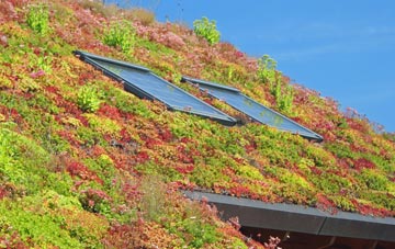 Radfordbridge living roof systems